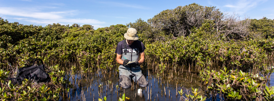 carbon sequestration science